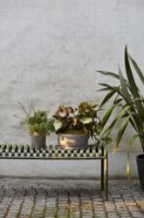 Billede af HAY Palissade Bench L: 120 cm - Olive 