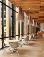 Billede af Secto Design Magnum 4202 Pendel Ø: 56 cm - Valnød