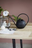 Billede af House Doctor Vandkande Plant - Sort