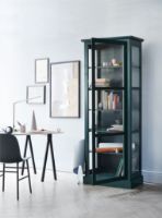 Billede af Lindebjerg Design Color N1 Vitrineskab Højrehængt Dør 70x210 cm - Green
