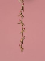 Billede af Kay Bojesen Nissehue Mini Abe Ø: 2,5 cm - Rød/Hvid