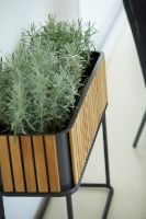 Billede af Cane-line Outdoor Combine Plantekasse 83x28 cm - Teak/Lava Grey