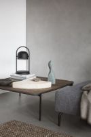 Billede af Eva Solo Savoye Sofabord L: 100 x H: 35 cm - Røget Eg