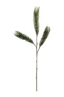 Billede af House Doctor Gren Pine Tree H: 97 cm - Natur OUTLET