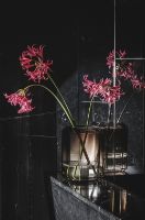 Billede af Louise Roe Jewel Vase Glass H: 26 cm - Smoke