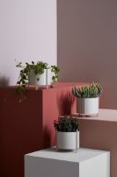 Billede af Woud Pidestall Planter Small - Grey 