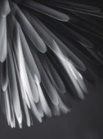 Billede af Foscarini Sun-Light of Love Pendel LED Ø: 65cm - Hvid