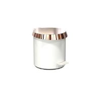 Billede af FROST Pedalspand 250 Small 6L - Mat Hvid/Poleret Kobber