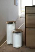 Billede af FROST Pedalspand 350 Medium 10L - Mat Hvid/Poleret Guld