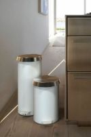 Billede af FROST Pedalspand 550 Large 15L - Mat Hvid/Poleret Guld