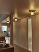 Billede af DCW Editions Mantis In The Sun 270 Væg- og loftlampe Ø: 27 cm - Sølv/Guld