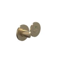 Billede af FROST Architectural Hardware HB203 Center Toilet Indikator - Børstet Guld 