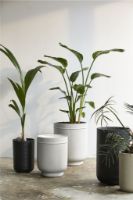 Billede af Nordal GRANITO blomster krukker - sæt á 2 stk. - sort