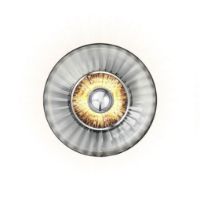 Billede af Design By Us New Wave Optic Wall Ø: 26 cm - Smoke/Black