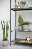 Billede af Rosendahl Urtepotteskjuler Ø: 19 cm - Sand OUTLET