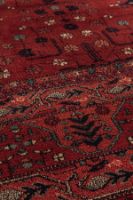 Billede af HC Tæpper Napoleon Klassisk Luvtæppe 200x300 cm - 43002 Red