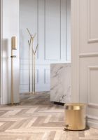 Billede af FROST Pedalspand 250 Small 6L - Børstet Guld