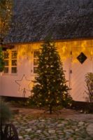 Billede af Sirius Top-Line Tree Drop Down Steady 180 LED Lys