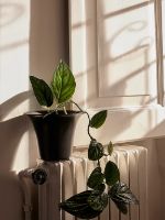 Billede af Ferm Living Spun Alu Vase H: 41,9 cm - Black