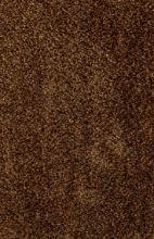 Billede af Fraster Cashmere 2554 Tæppe 200x300 cm - Gold