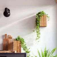 Billede af Squarely Copenhagen GrowSMALL 14x14 cm - Natural Ash