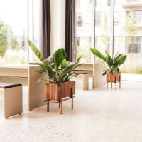 Billede af Squarely Copenhagen StandWIDE 60x27 cm - Dark Oak