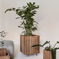 Billede af Squarely Copenhagen GrowBIG 45x45 cm - Dark Oak