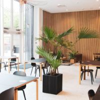 Billede af Squarely Copenhagen GrowBIG 45x45 cm - Black Ash