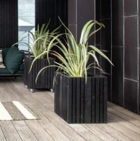 Billede af Squarely Copenhagen GrowBIG 45x45 cm - Black Ash