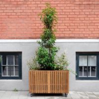Billede af Squarely Copenhagen GrowLARGE 90x45 cm - Dark Oak