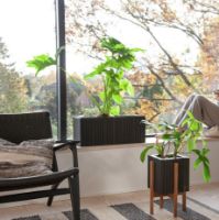 Billede af Squarely Copenhagen GrowWIDE 60x22 cm - Black Ash