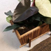 Billede af Squarely Copenhagen GrowWIDE 60x22 cm - Dark Oak