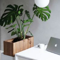 Billede af Squarely Copenhagen GrowWIDE 60x22 cm - Dark Oak