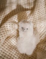 Billede af Elvang Teddy Alpaca - Beige