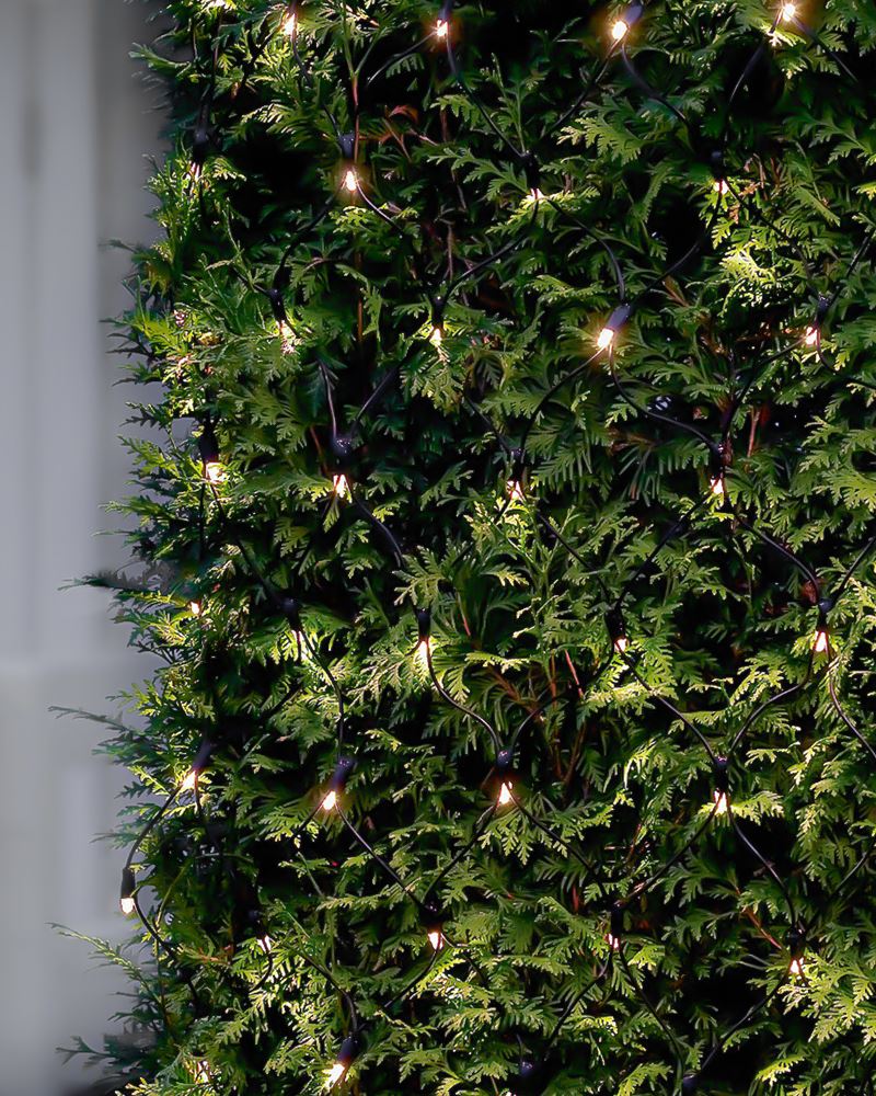 Billede af Sirius Tech-Line Net Startsæt 196 LED 3x3 m - Sort/Varm Hvid