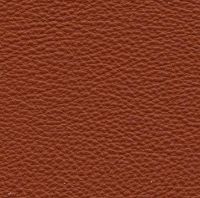 Billede af LK Hjelle Siesta Fiora Lænestol Høj SH: 43 cm - Nature/Prescott Hezelnut