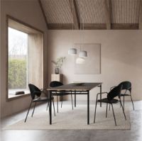 Billede af Eva Solo Dosina Spisebordsstol m. Armlæn SH: 46 - Sort Eg