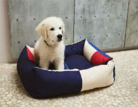Billede af HAY Dogs Bed Medium 26x65x78 cm - Red/Blue