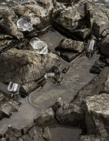 Billede af Blomus KOYOI Prosecco Glass 200 ml - Clear