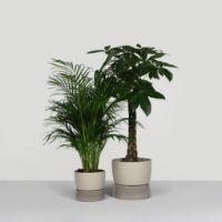 Billede af Ro Collection Two Tone Planter Floor Large Ø: 34 cm - Dune Grey
