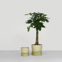Billede af Ro Collection Two Tone Planter Floor Large Ø: 34 cm - Artichoke Green