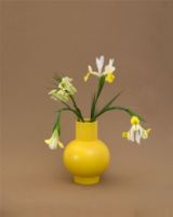 Billede af raawii Strøm Small Vase H: 16 cm - Freesia