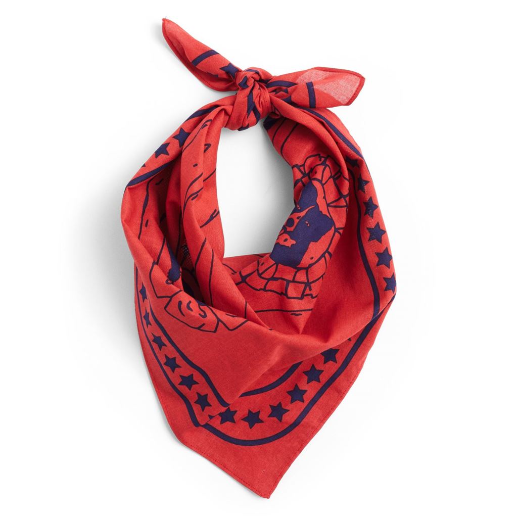 Billede af HAY Dogs Scarf 55x55 cm - Rød 