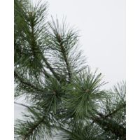 Billede af House Doctor HDGiant Krans m. LED Ø: 45 cm - Natur