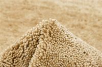 Billede af Rezas Polar Gulvtæppe 200x300 cm - Beige 